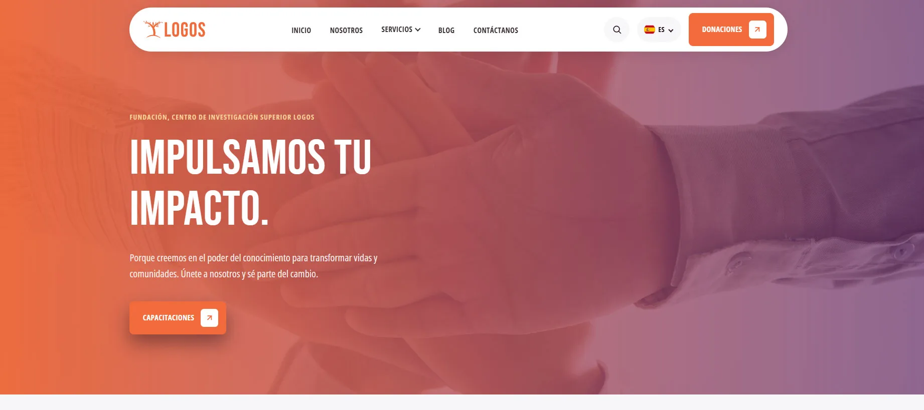 Logos Website, desarrollo web, paypal, wordpress