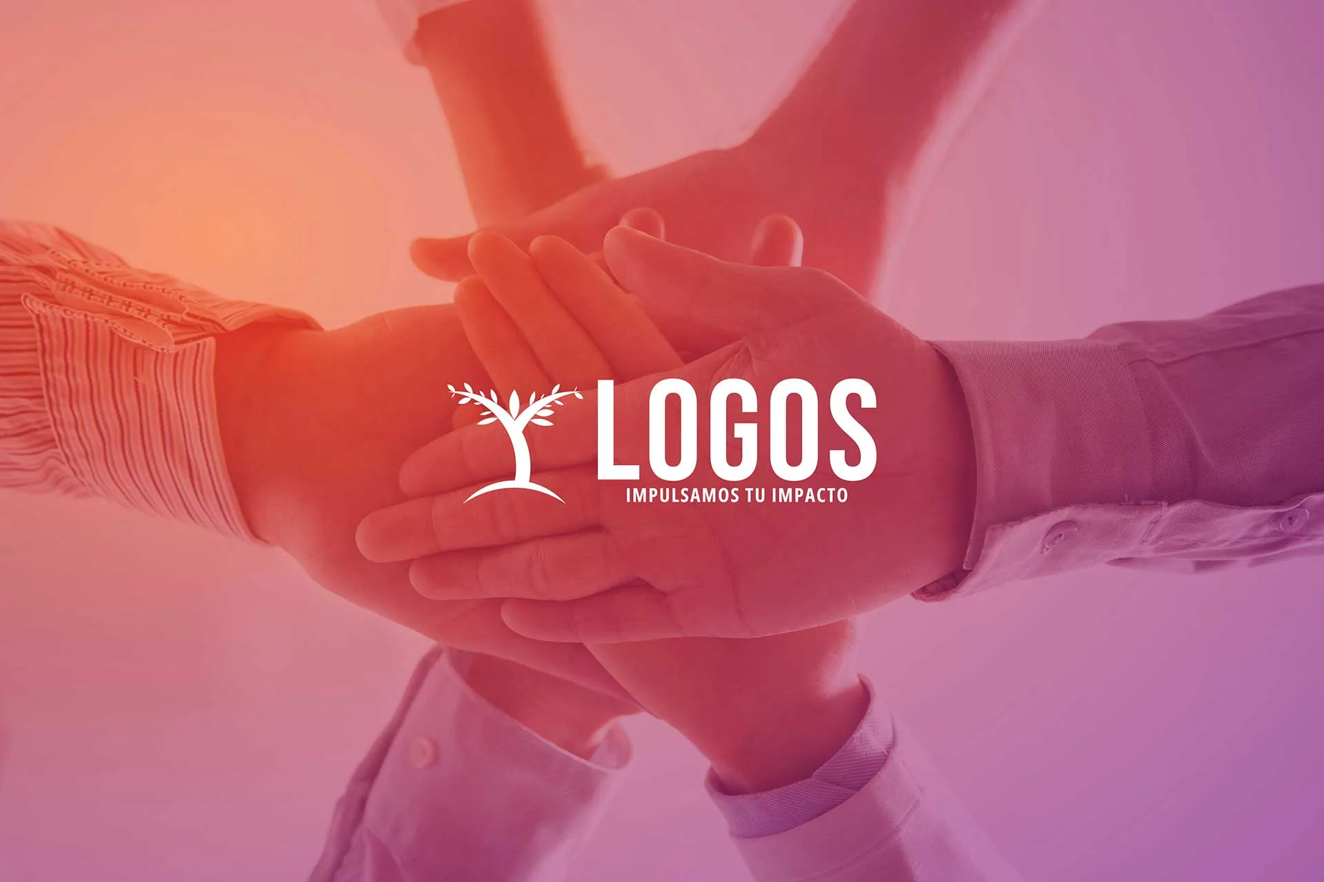Desarrollo de Manual de Marca Logos CISL